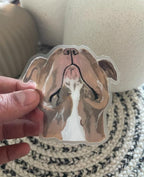The Pitbull Dog Sticker