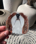 The Cavalier Dog Sticker