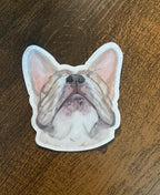 The Frenchie Dog Sticker