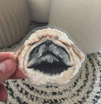 The Pekingese Dog Sticker