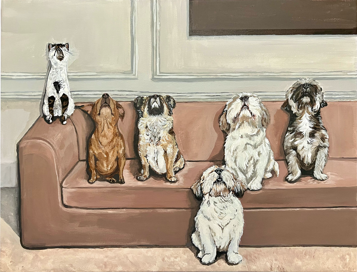 "The pack"
