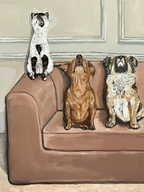 "The pack"