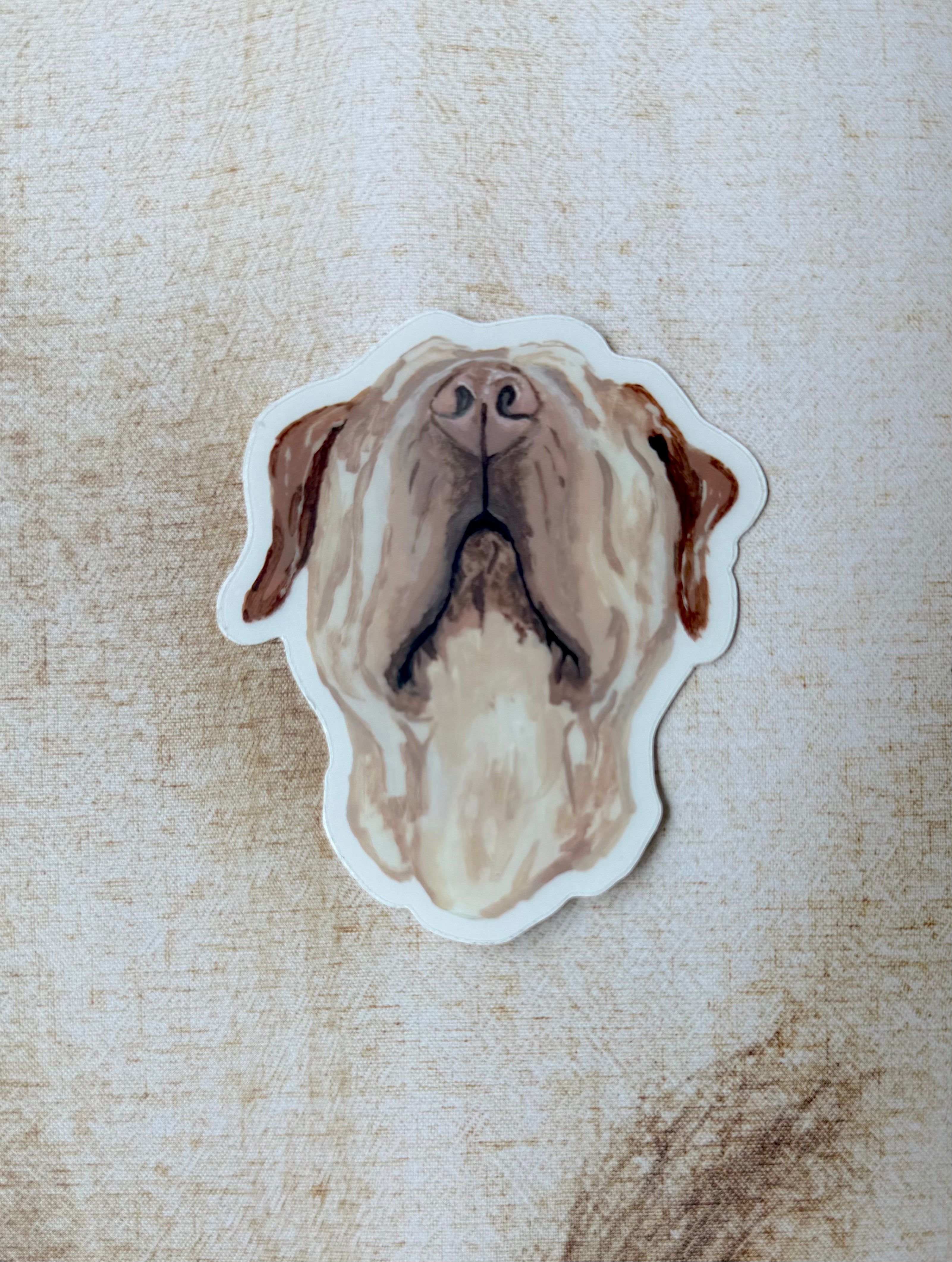 The Shar pei Dog Sticker