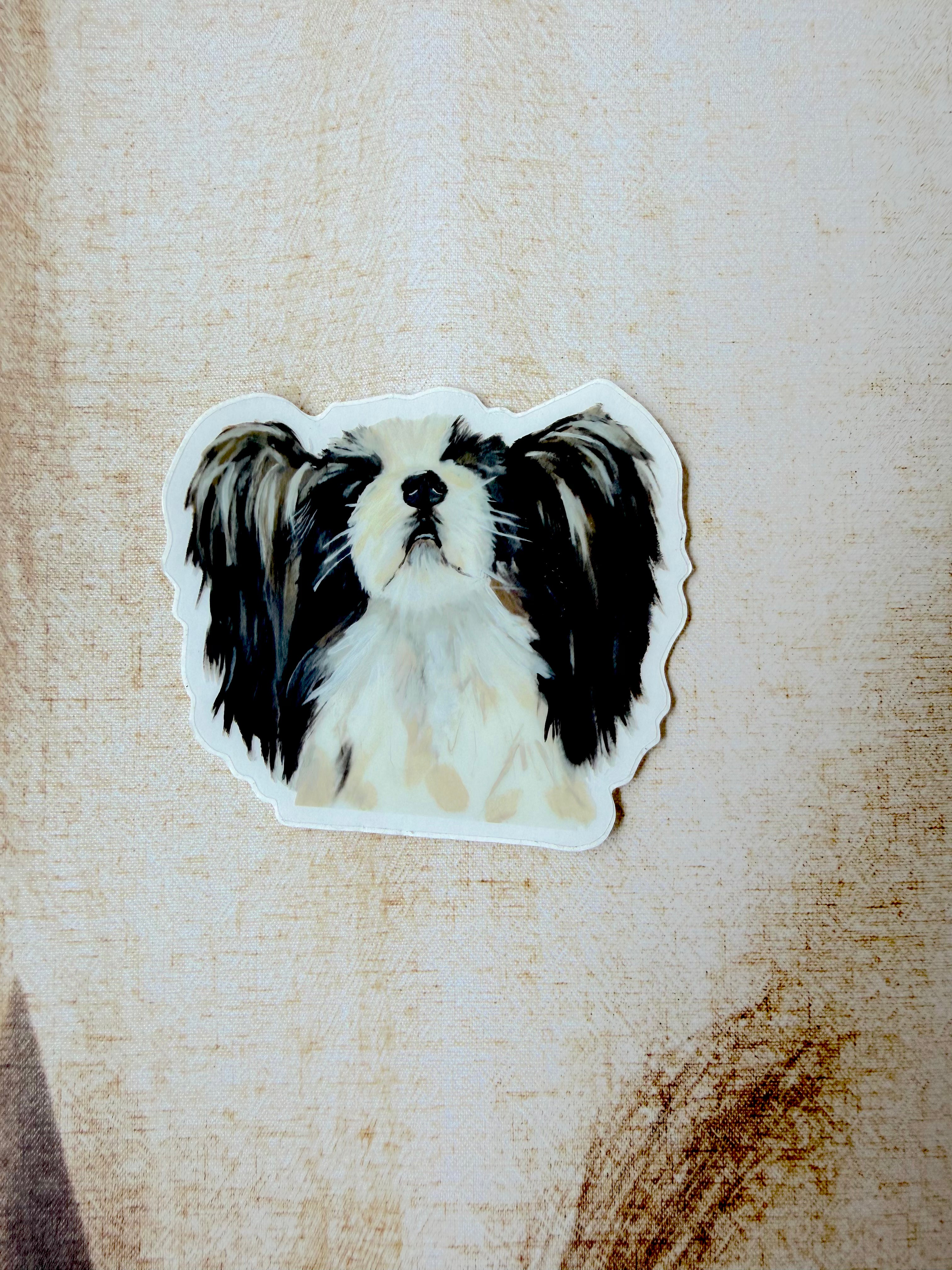 The Papillion Dog