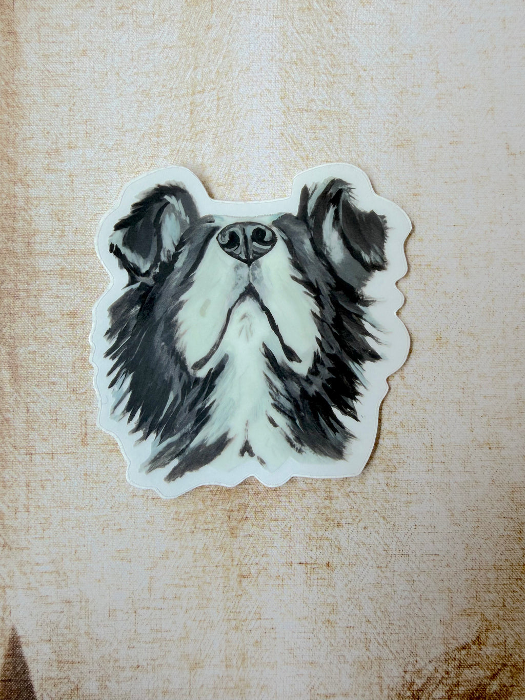 The Border Collie