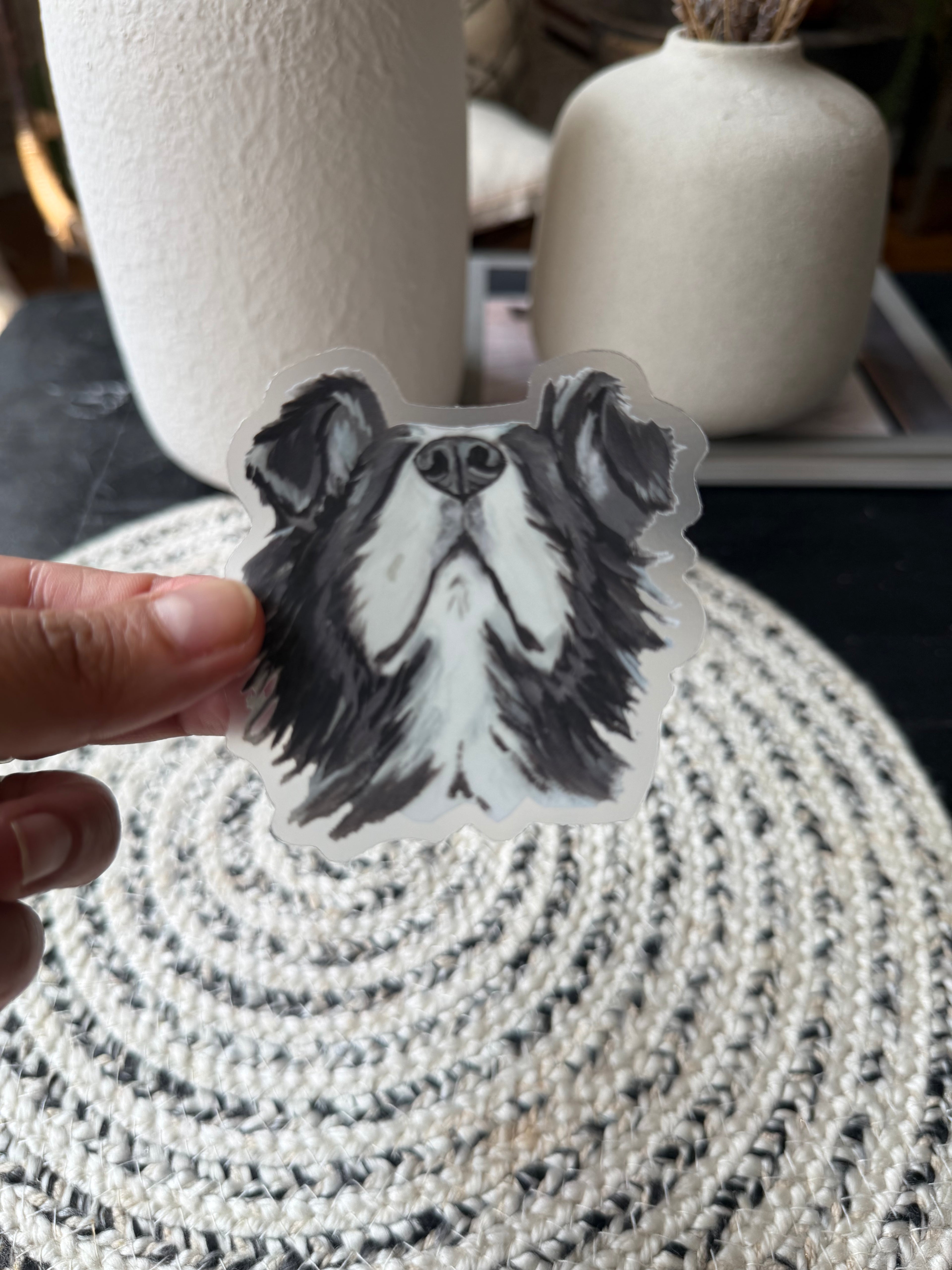 The Border Collie