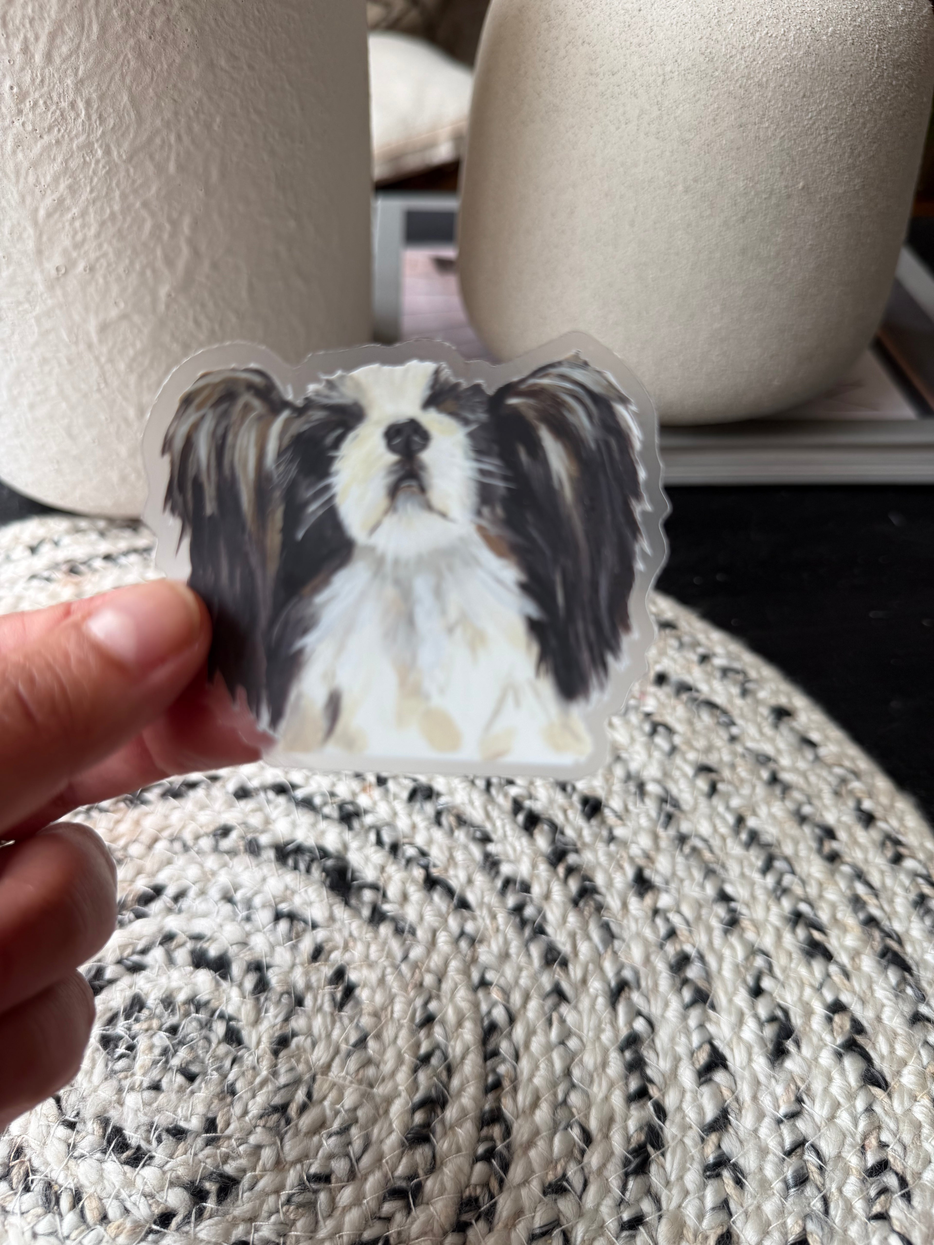 The Papillion Dog