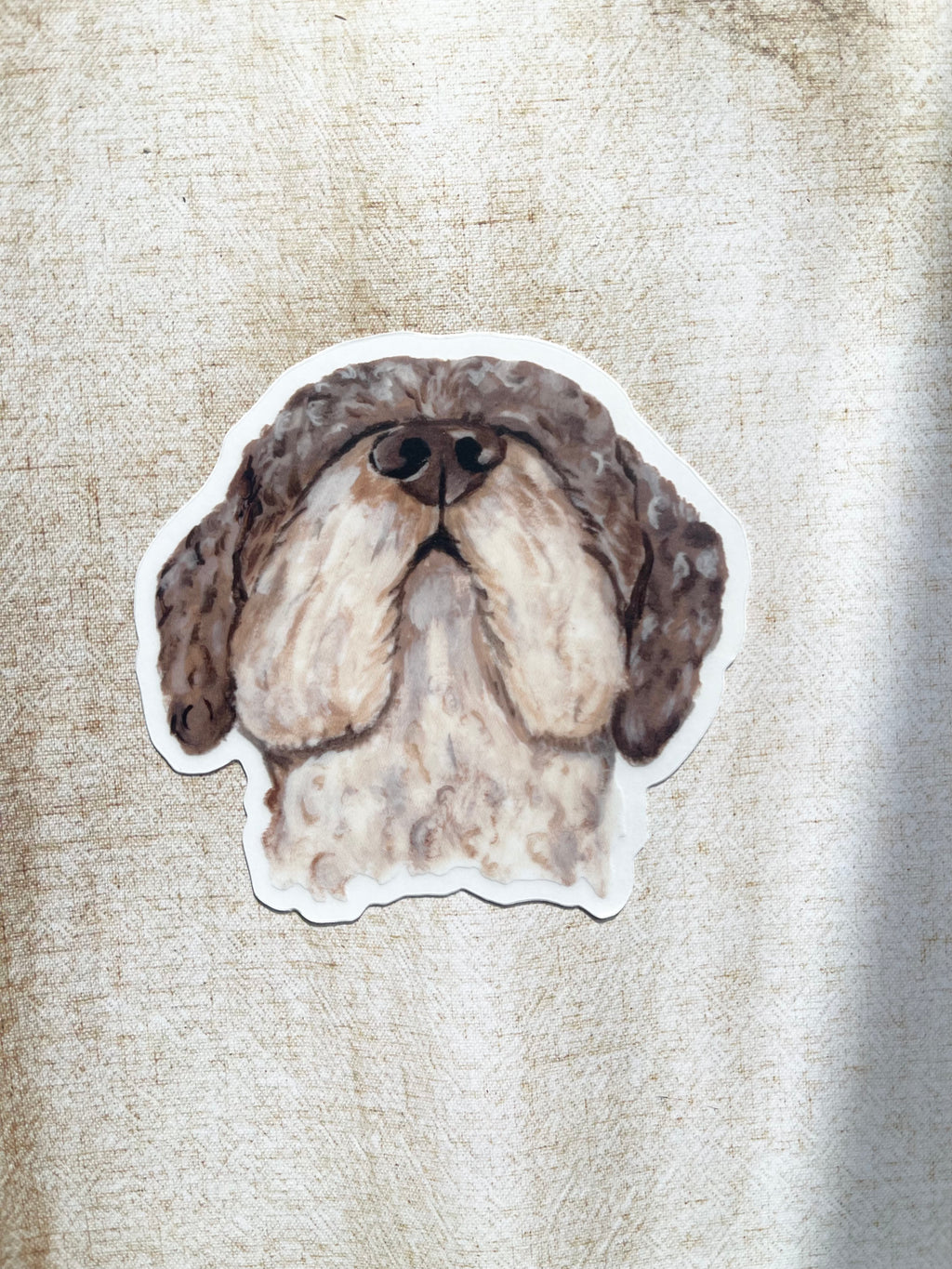 The Lagotto Ramagnolo