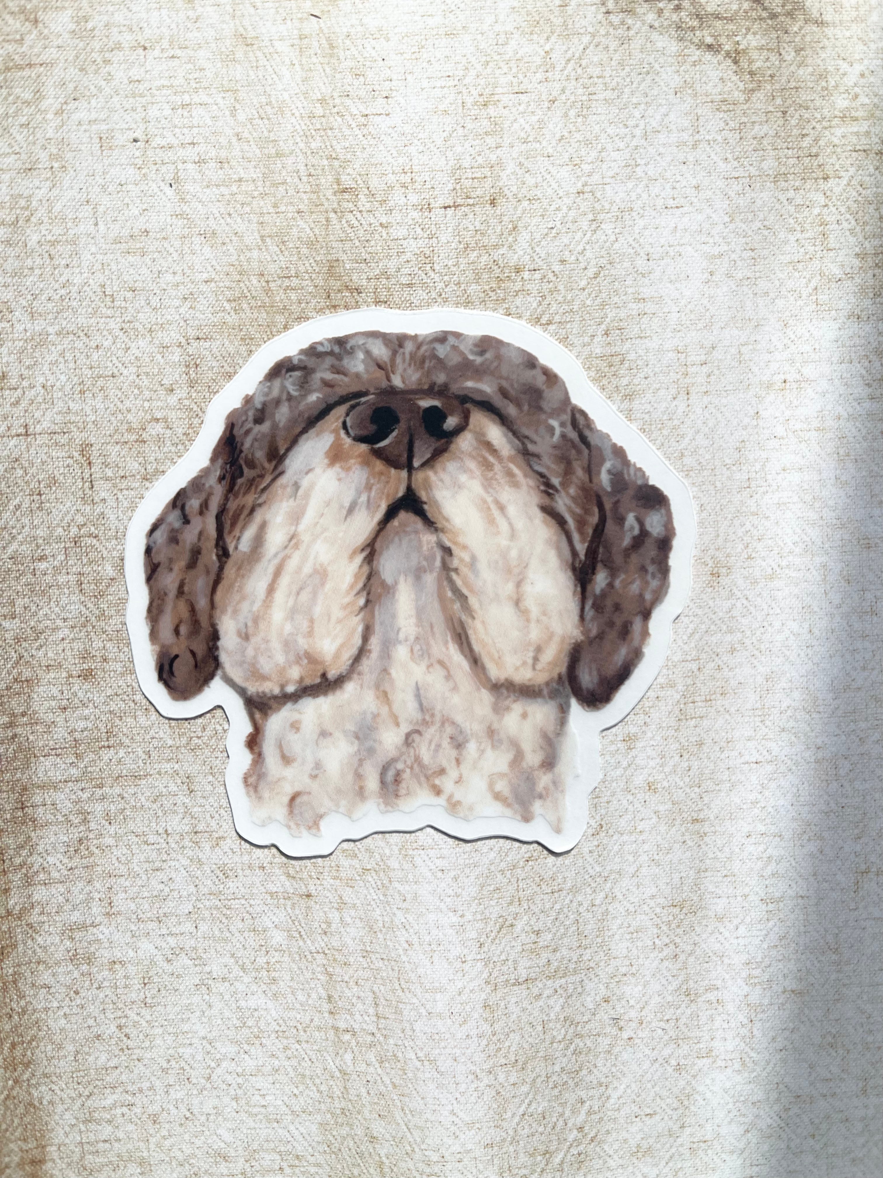 The Lagotto Ramagnolo