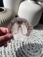 The Lagotto Ramagnolo