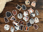The Cocker Spaniel  Dog Sticker