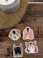 The Cocker Spaniel  Dog Sticker