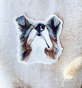 The Australian Shepherd Dog Sticker